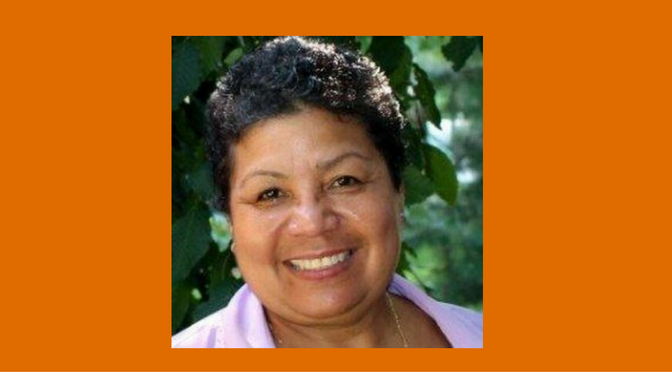 Luz Santana banner